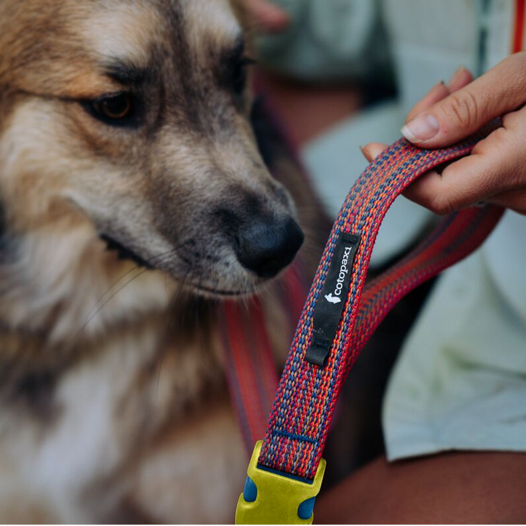 Del Dia Dog Leash | Versatile Everyday Carry