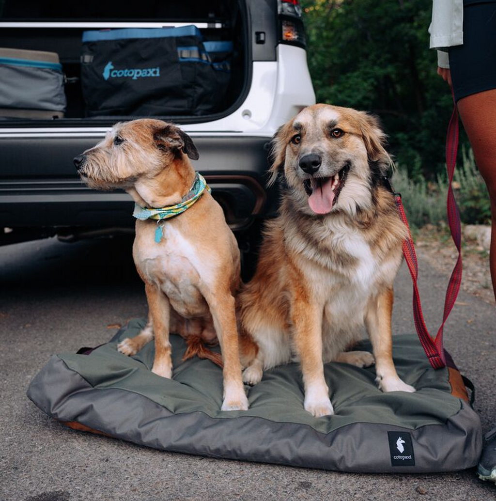 Del Dia Dog Bed | Versatile Everyday Carry