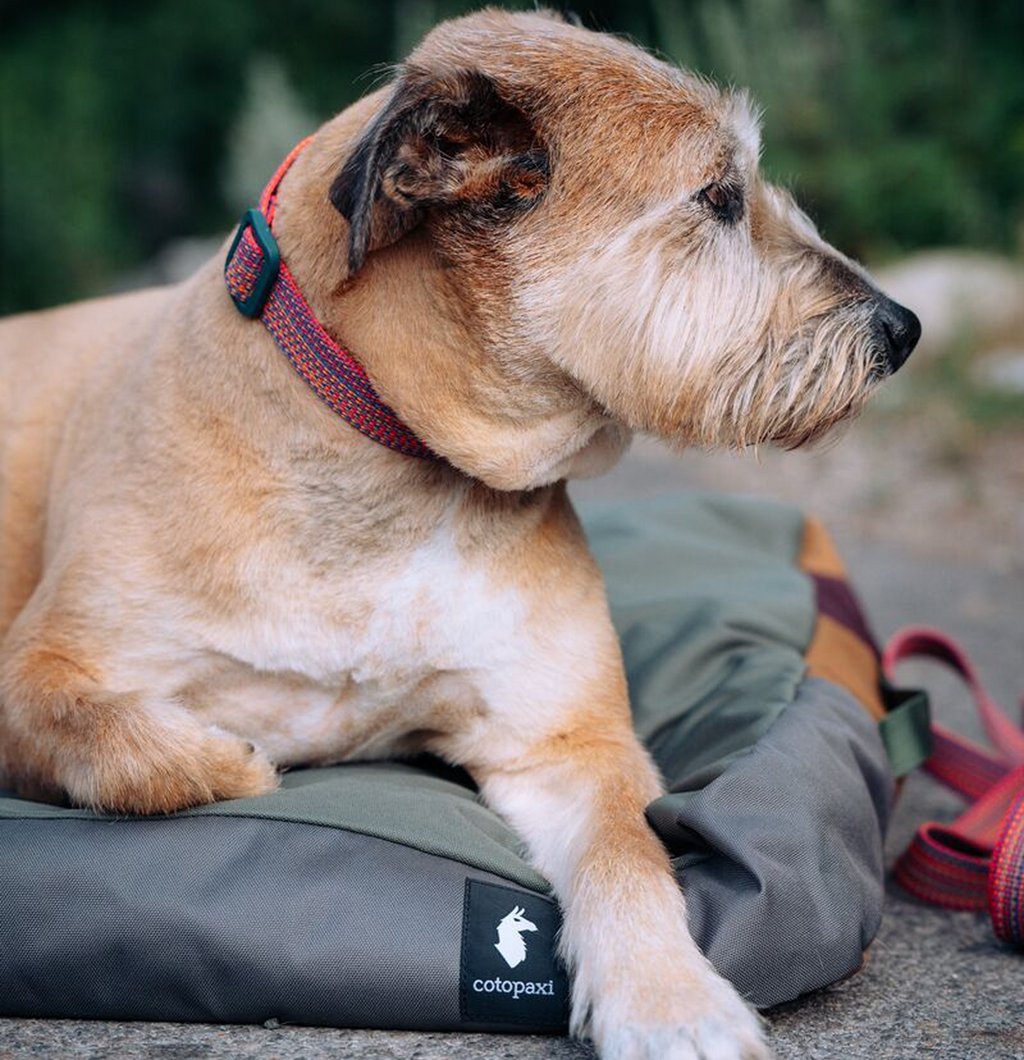 Del Dia Dog Bed | Versatile Everyday Carry