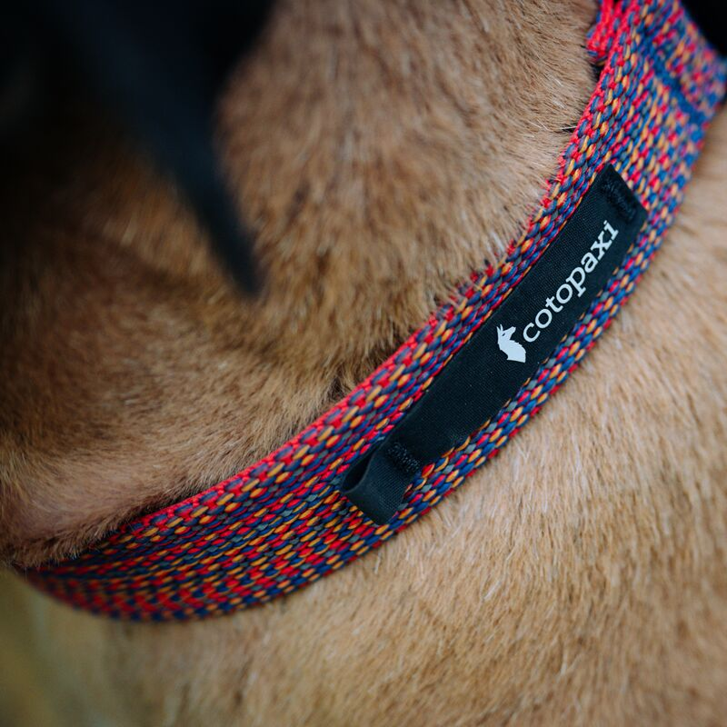 Del Dia Dog Collar | Versatile Everyday Carry