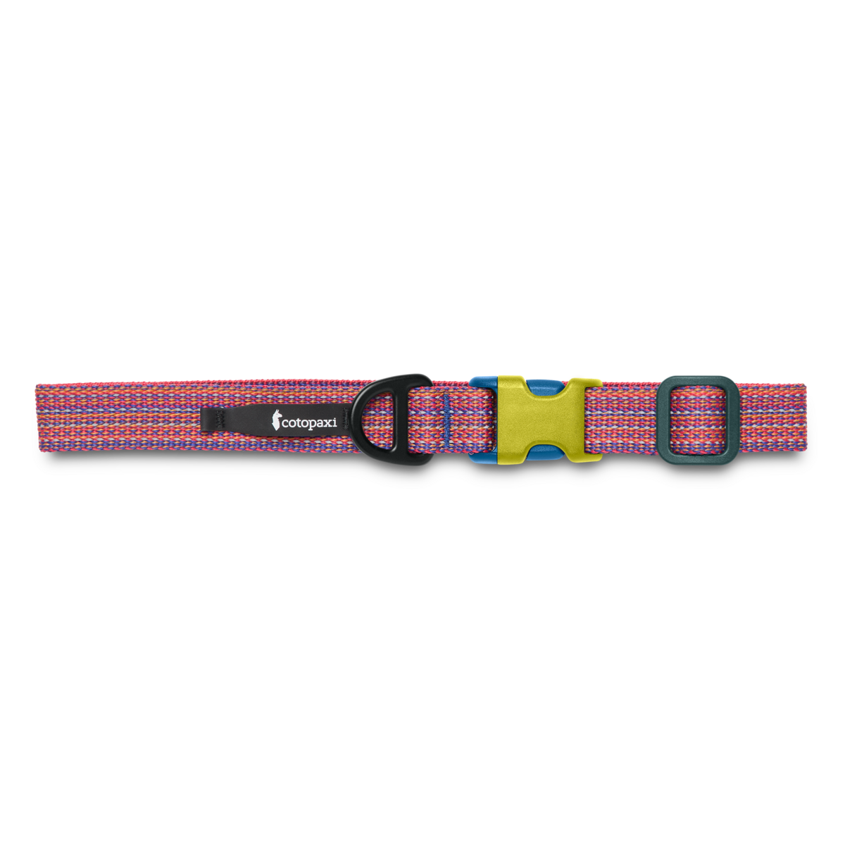 Del Dia Dog Collar | Versatile Everyday Carry