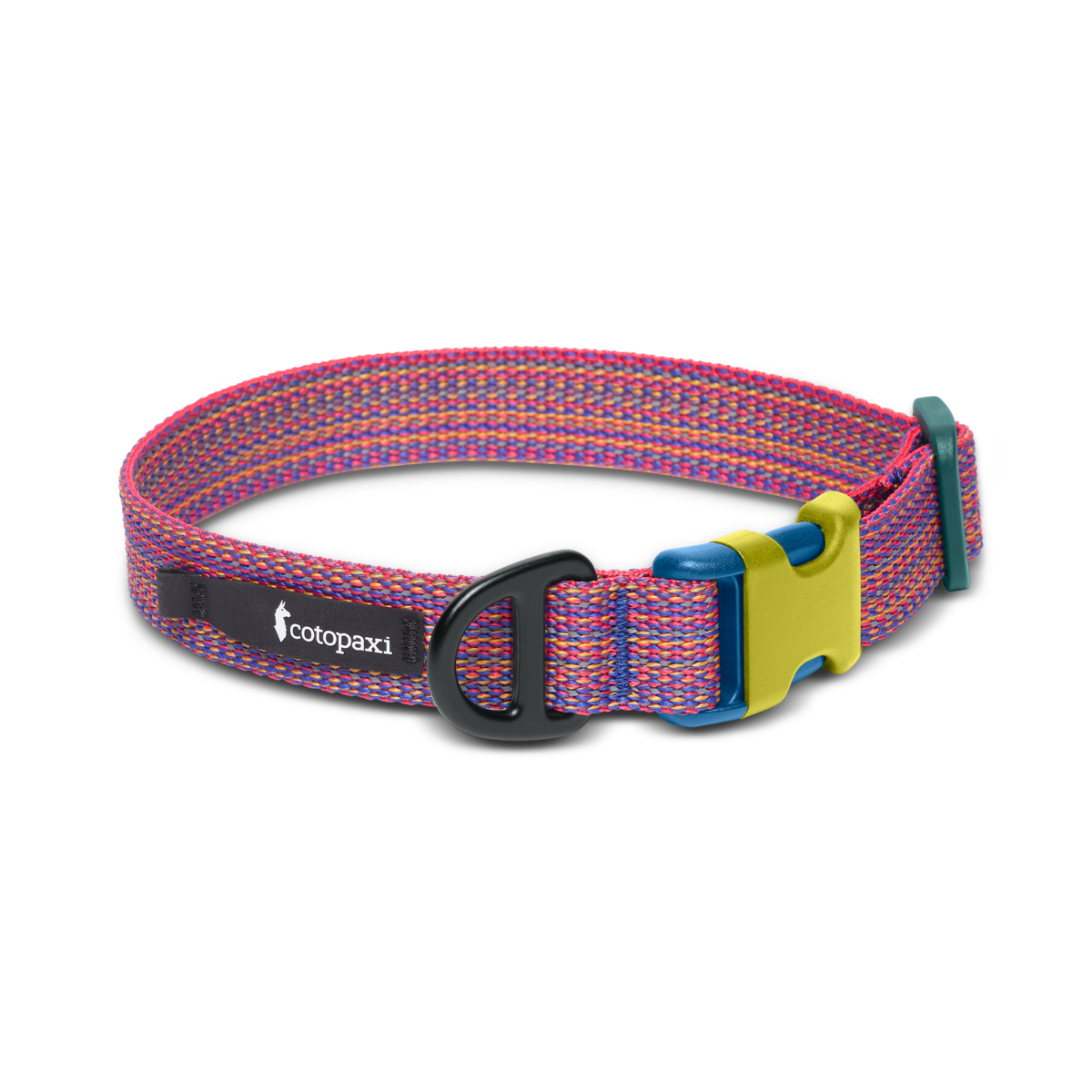 Del Dia Dog Collar | Versatile Everyday Carry