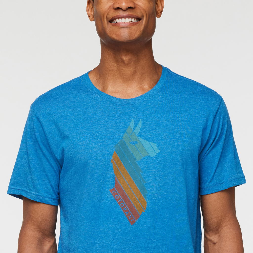 Llama Stripes T-Shirt Men's | Comfortable Outdoor Top