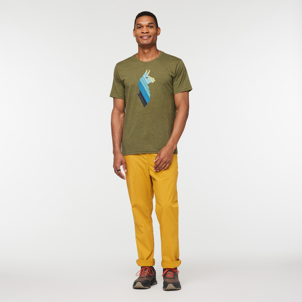 Llama Stripes T-Shirt Men's | Comfortable Outdoor Top