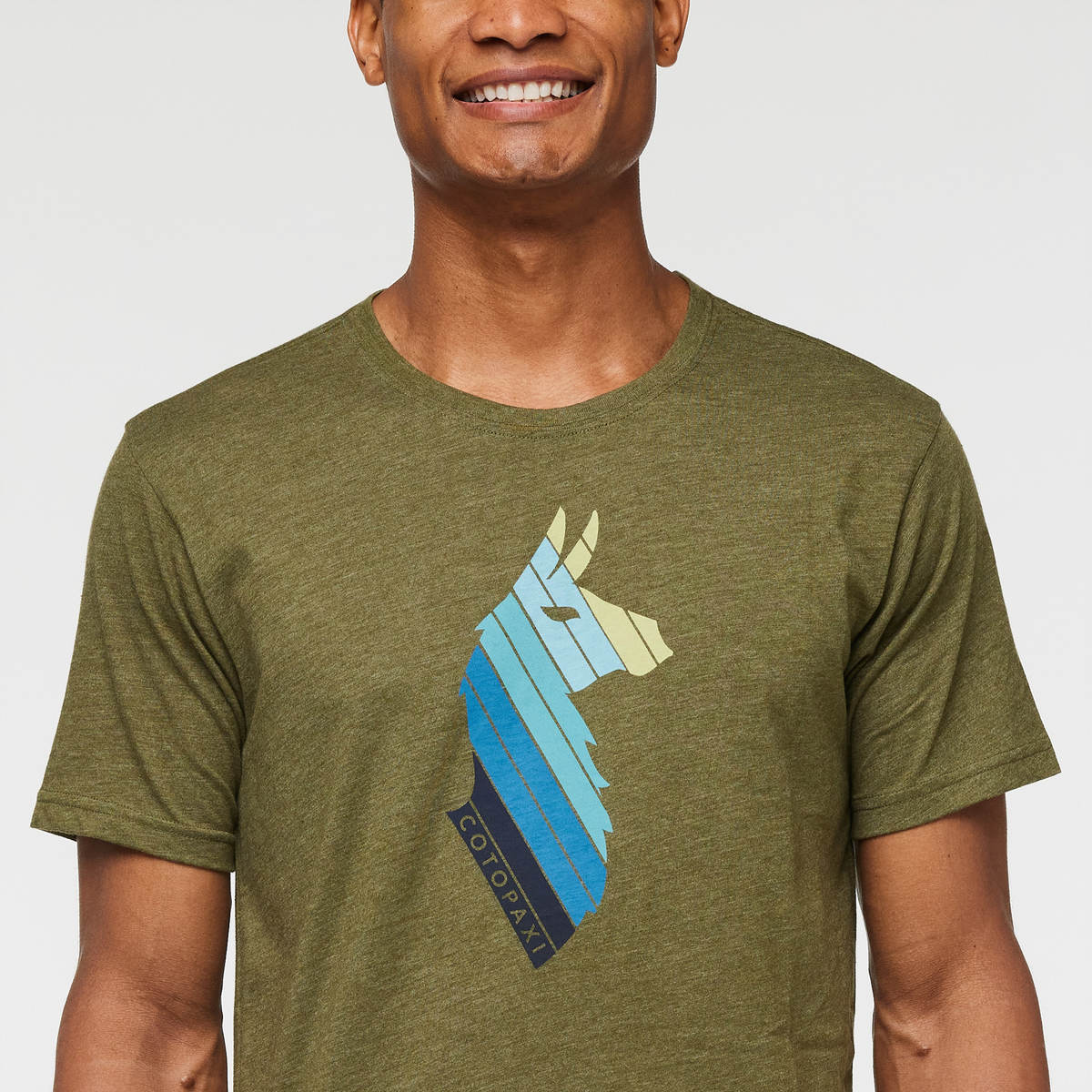 Llama Stripes T-Shirt Men's | Comfortable Outdoor Top