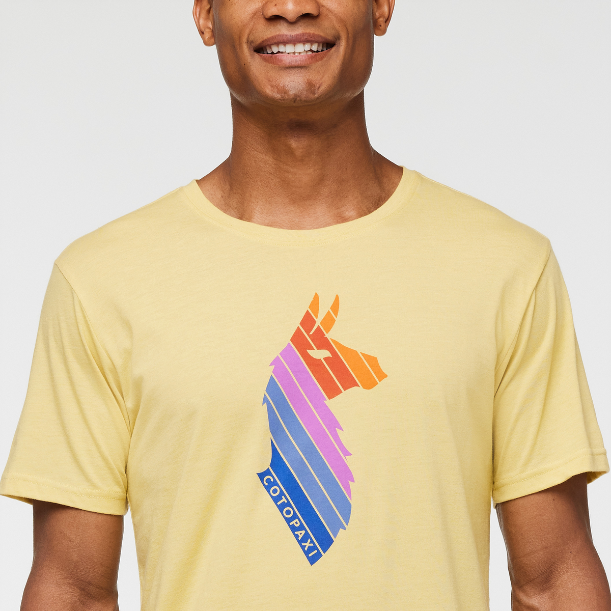 Llama Stripes T-Shirt Men's | Comfortable Outdoor Top