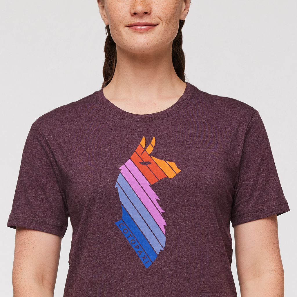 Llama Stripes T-Shirt Women's | Comfortable Outdoor Top