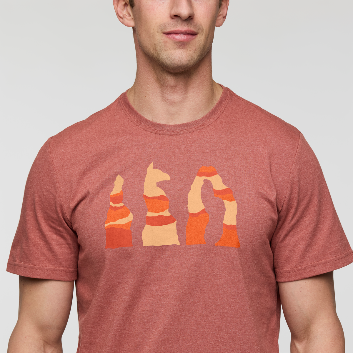 Llama Hoodoo T-Shirt Men's | Comfortable Outdoor Top