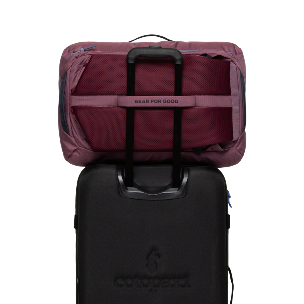Allpa 35L Travel Pack | Organized Travel