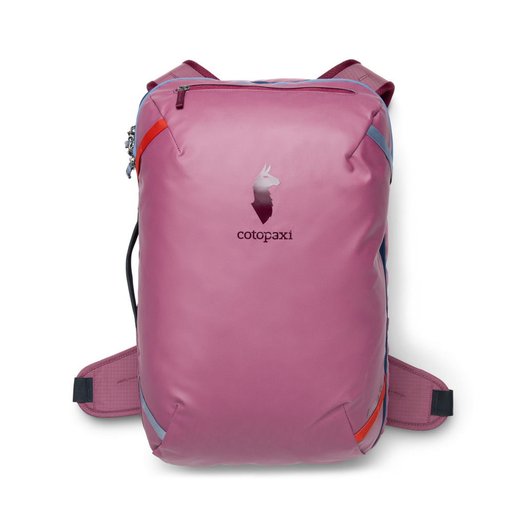 Allpa 35L Travel Pack | Organized Travel