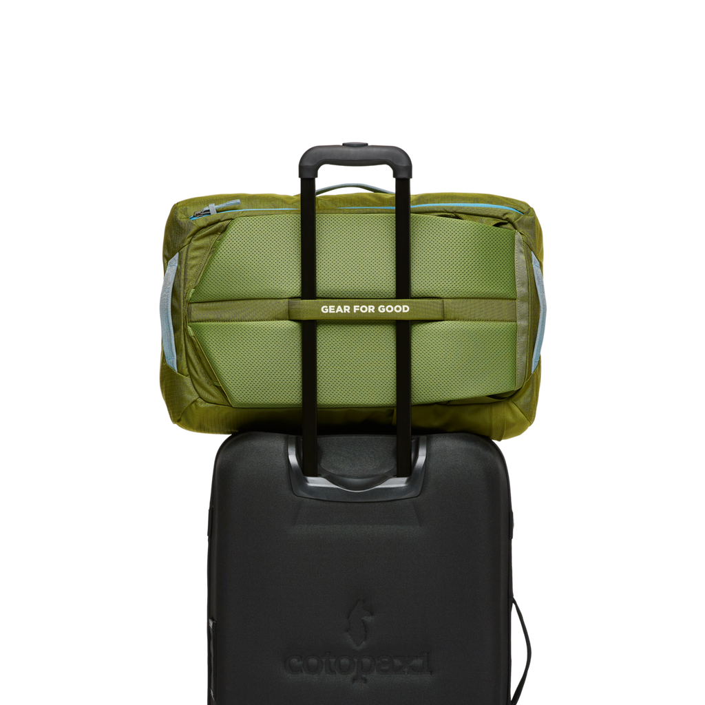 Allpa 35L Travel Pack | Organized Travel