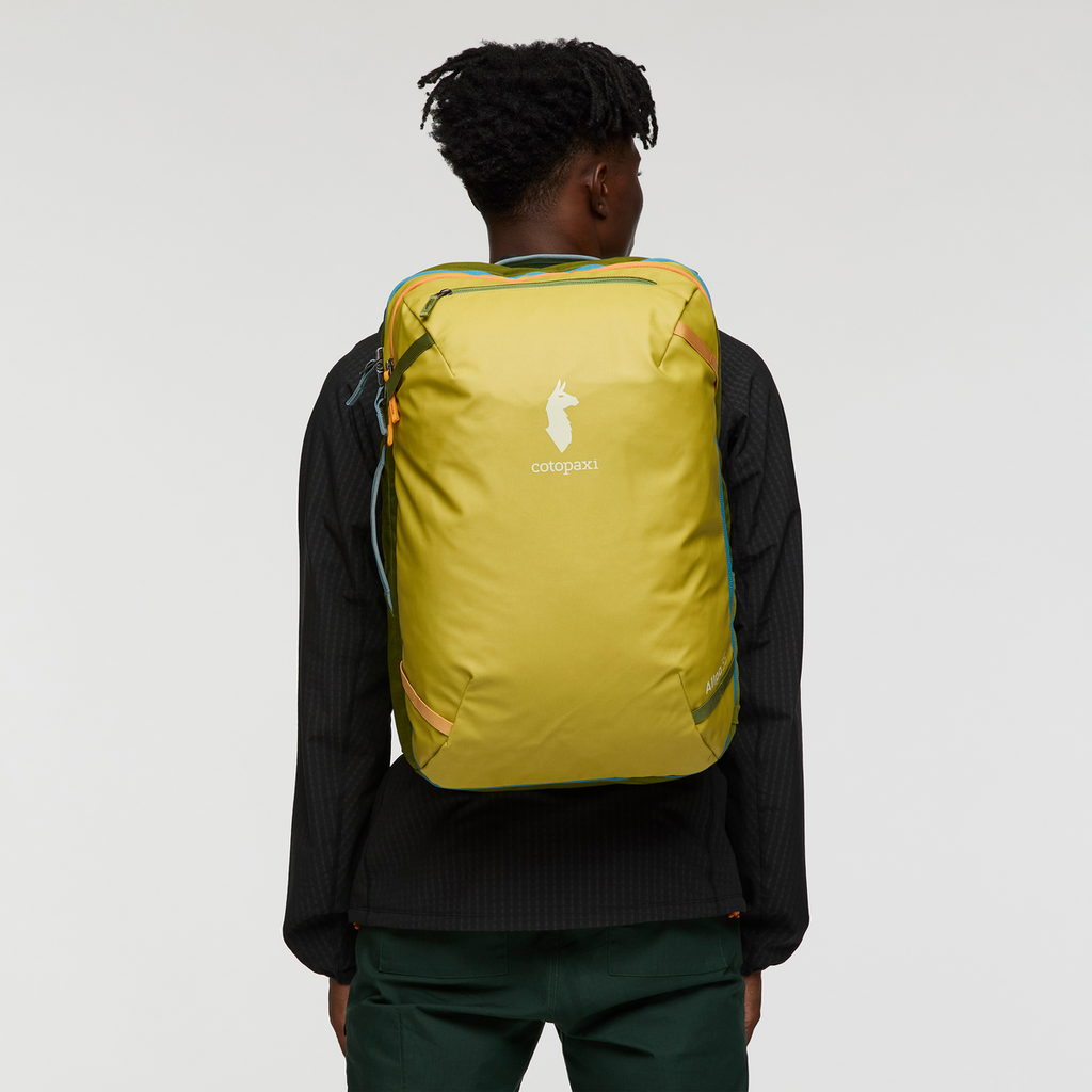 Allpa 35L Travel Pack | Organized Travel