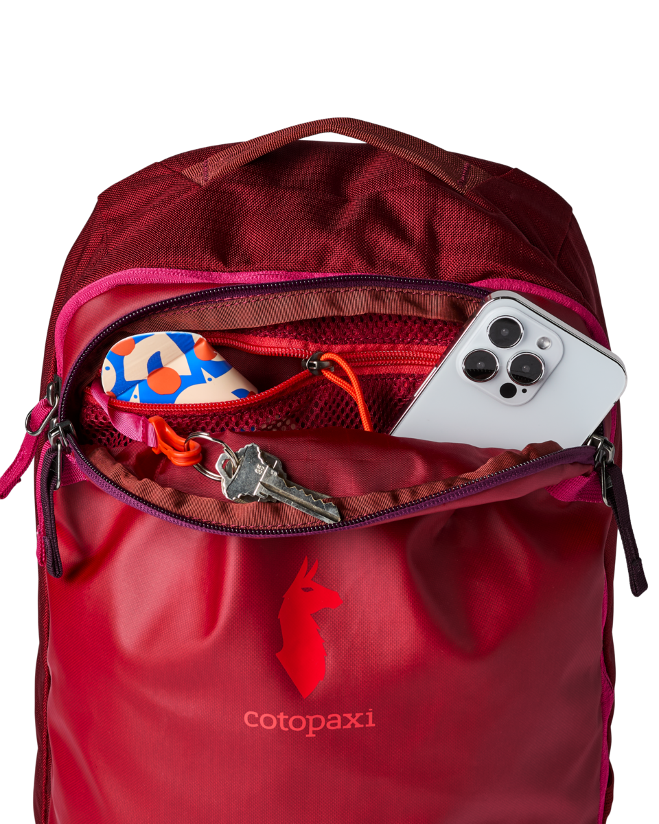 Allpa Mini 20L Travel Pack | Organized Travel