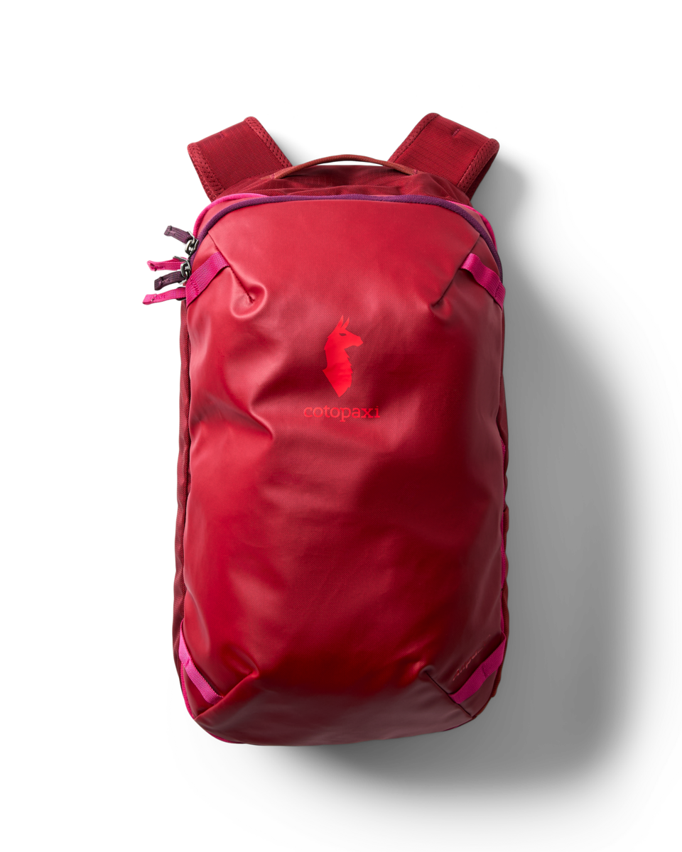 Allpa Mini 20L Travel Pack | Organized Travel